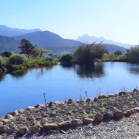 Gecko Cottage at Artemis Franschhoek Exteriör bild