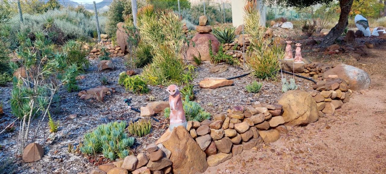 Gecko Cottage at Artemis Franschhoek Exteriör bild