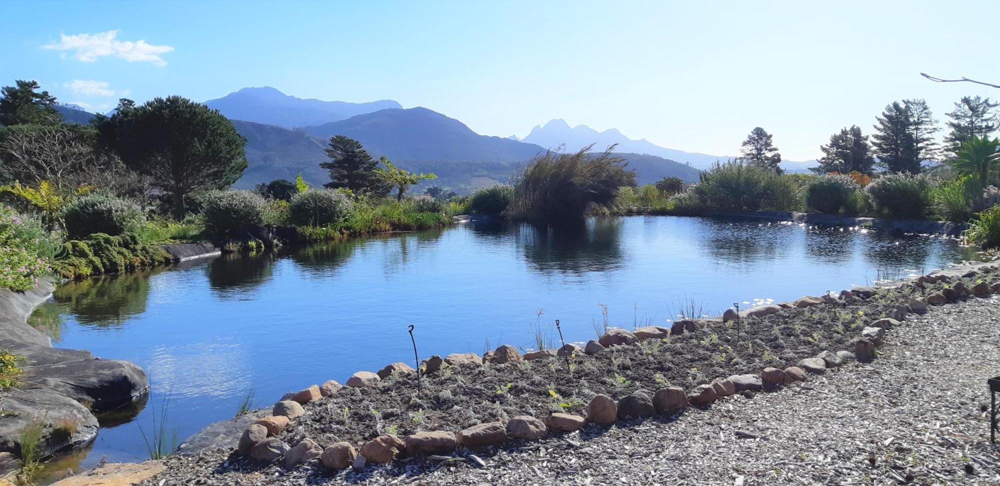 Gecko Cottage at Artemis Franschhoek Exteriör bild