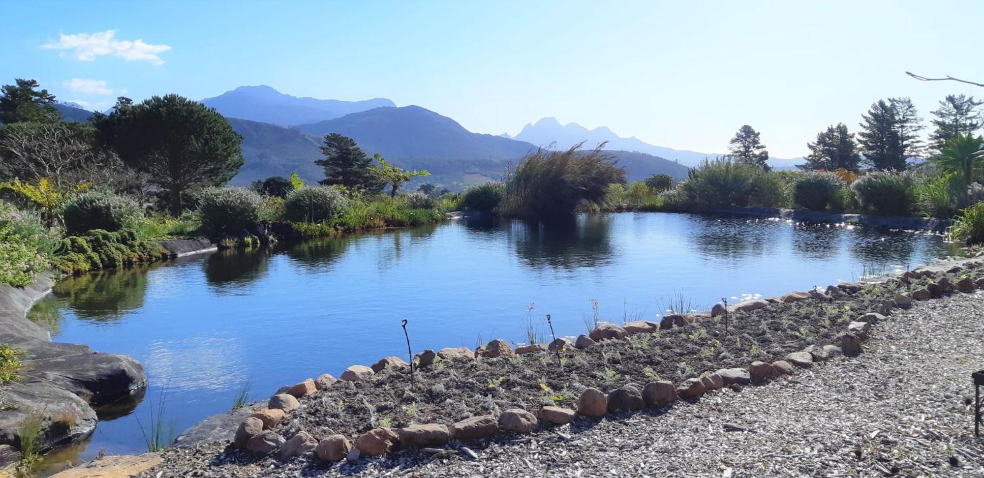 Gecko Cottage at Artemis Franschhoek Exteriör bild