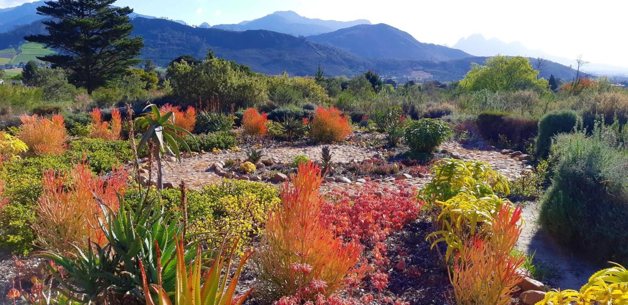 Gecko Cottage at Artemis Franschhoek Exteriör bild