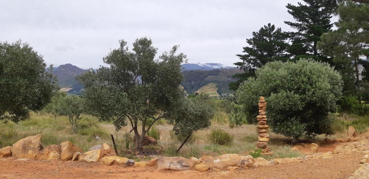 Gecko Cottage at Artemis Franschhoek Exteriör bild